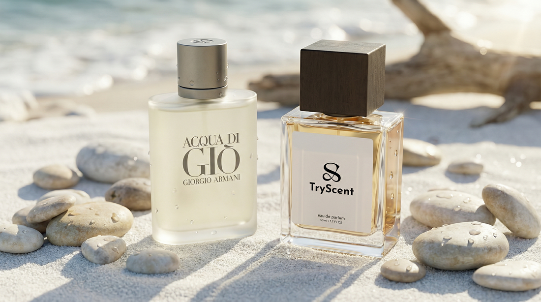 Giorgio Armani Acqua di Gio Dupe - The Fresh Aquatic Scent Made Affordable