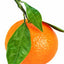 Italiensk mandarin