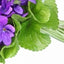 Violet Leaf 